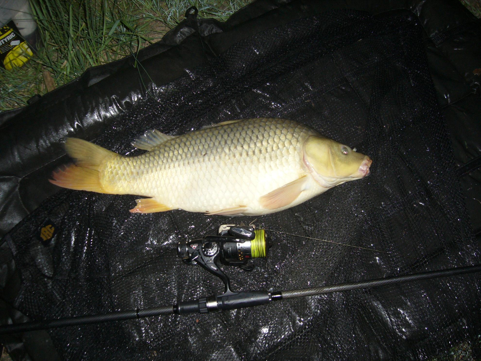 Horgesti 24-25.04.2013 - p1130945.JPG